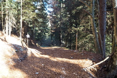 E331A-ldp004-00-p02-241117-FB