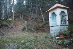 E331A-ldp005-00-p02-241117-FB