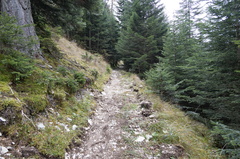 E331A-006-DrioSilana-20211019-1866-61