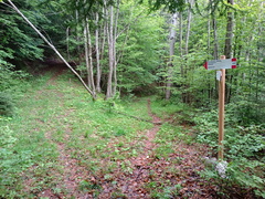 E331B-ldp001-00-p01-20240523-td