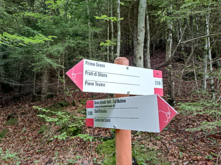 E331B-ldp002-00-d01-20240523-td