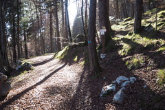 E331A-ldp005-00-p01-241117-FB