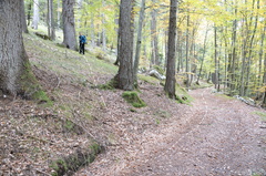 E331B-001-00-Silana-20211019-1807-3