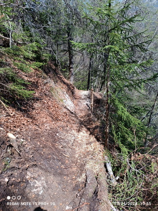 E331B-20240412-072626667