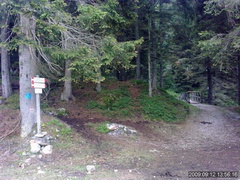 E332-ldp015-01-p3-old