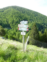 E333-ldp005-00-d2-100602