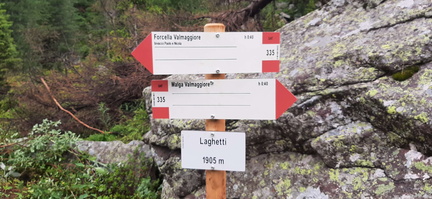 E335-ldp004-00-d01-230706-CR