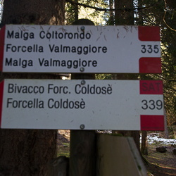 010-00