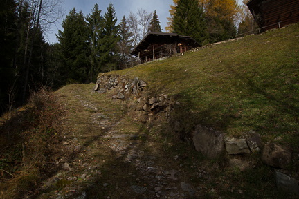 E335-171110-td-1875