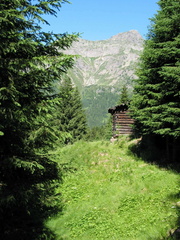 E335-Malga-Coltorondo-td-2003