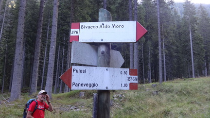 E337-ldp006-00-d02-170829-ED