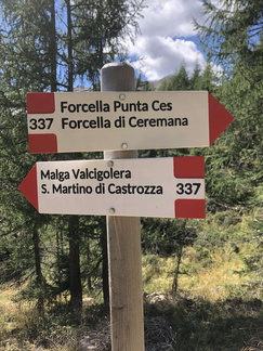 E337-ldp008-00-d01-220824-ED