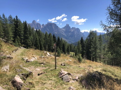 E337-ldp008-00-p01-220824-ED