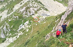 E338-ldp005-00-P1-240725-td