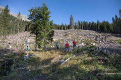 E339-04-011020-1