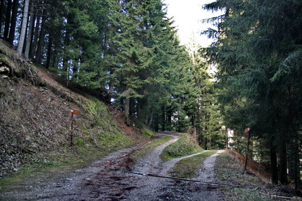 E341-Bivio-E341B-quota-1425-1