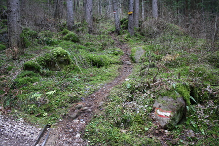 E341-inizio-da-forestale-a-q-1132m