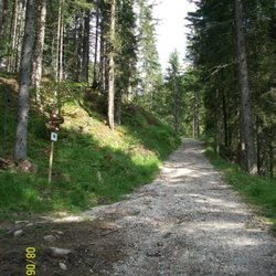 sentiero