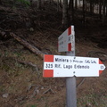 E343-ldp001-00-d01-231229-ED