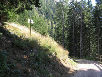 E343B-ldp003-00-p2-old