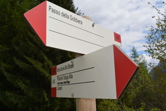 E345-ldp005-00-d1-170429-RF-0294