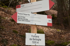 E345-ldp025-00-d1-170412-RF-0163