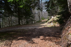 E345B-ldp001-00-p1-170412-RF-0139