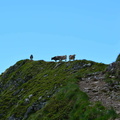 E347-170701-RF-0030