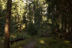 E350A-170917-td-5409