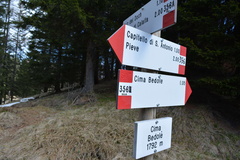 E351A-ldp002-00-d1