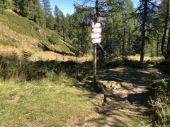 E352-ldp008-40-p01-220824-ED