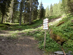 E352-ldp010-00-p01-190614tg