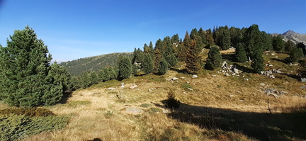 E353-ldp007-00-p01-230911-MB