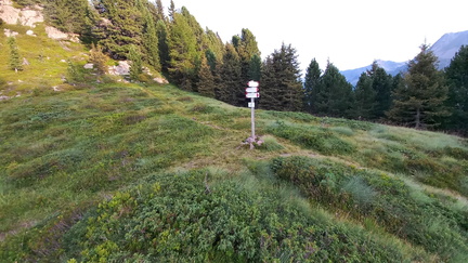 E353-ldp008-00-p01-240812-MB