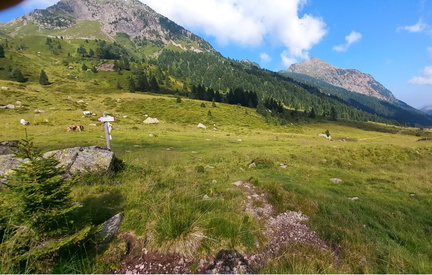 E353A-ldp001-00-p01-220718-MB