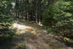 E355-ldp023-00-p2-160411