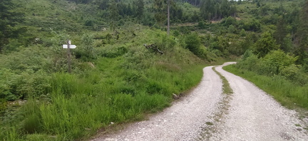 E356-ldp018-00-p01-250606-EF