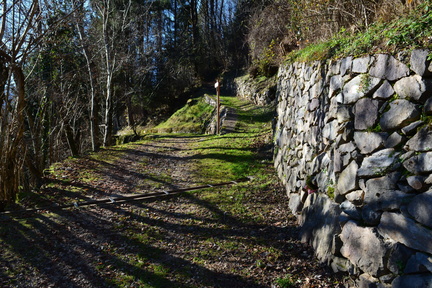 E357-ldp003-00-p2-161130-RF-0070