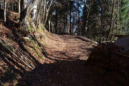 E357-ldp013-00-p1-161130-RF-0037