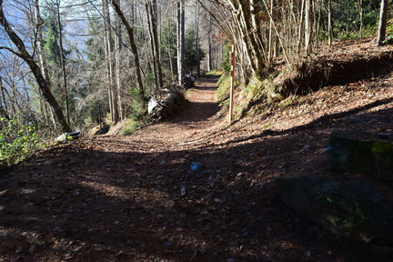 E357-ldp013-00-p2-161130-RF-0040