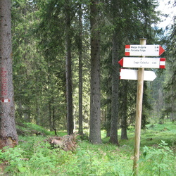 015-00