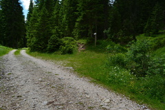 E358-ldp016-00-p1-170701-RF-0053