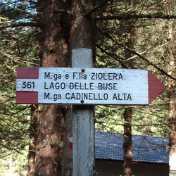 ldp