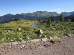 E361-170721-LZ-04834