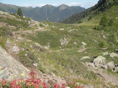 E361-170721-LZ-04837