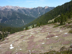 E361-presso-bivioE322A