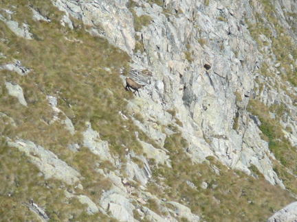 E363-070907-LB-071