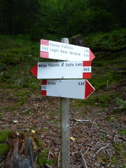 E365-ldp003-00-d2-old