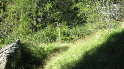 E365-ldp006-00-p4-FB-160823-9626