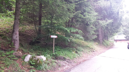 E367-ldp001-00-p02-180608-LG